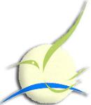 Environment Public Authority - Kuwait